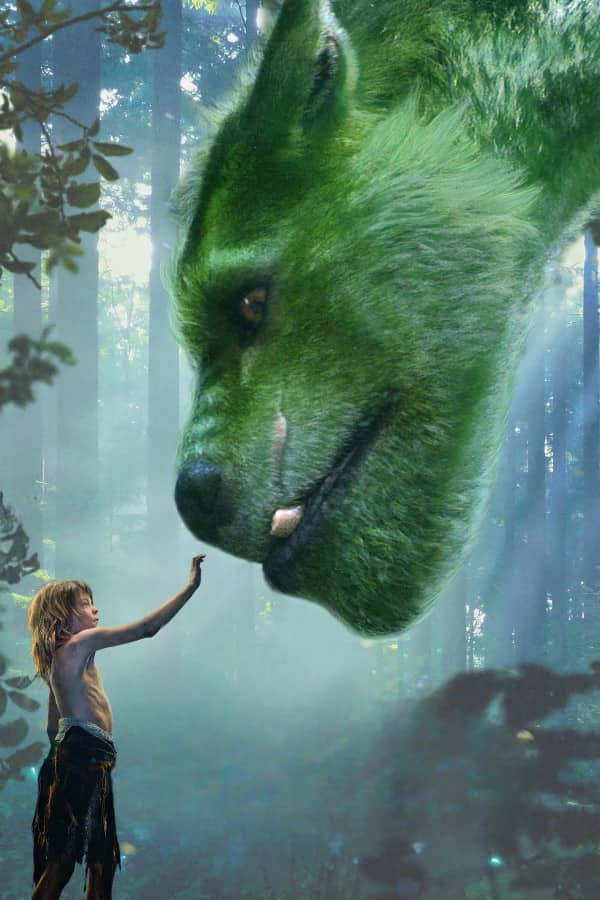 Pit və onun əjdahası (2016)